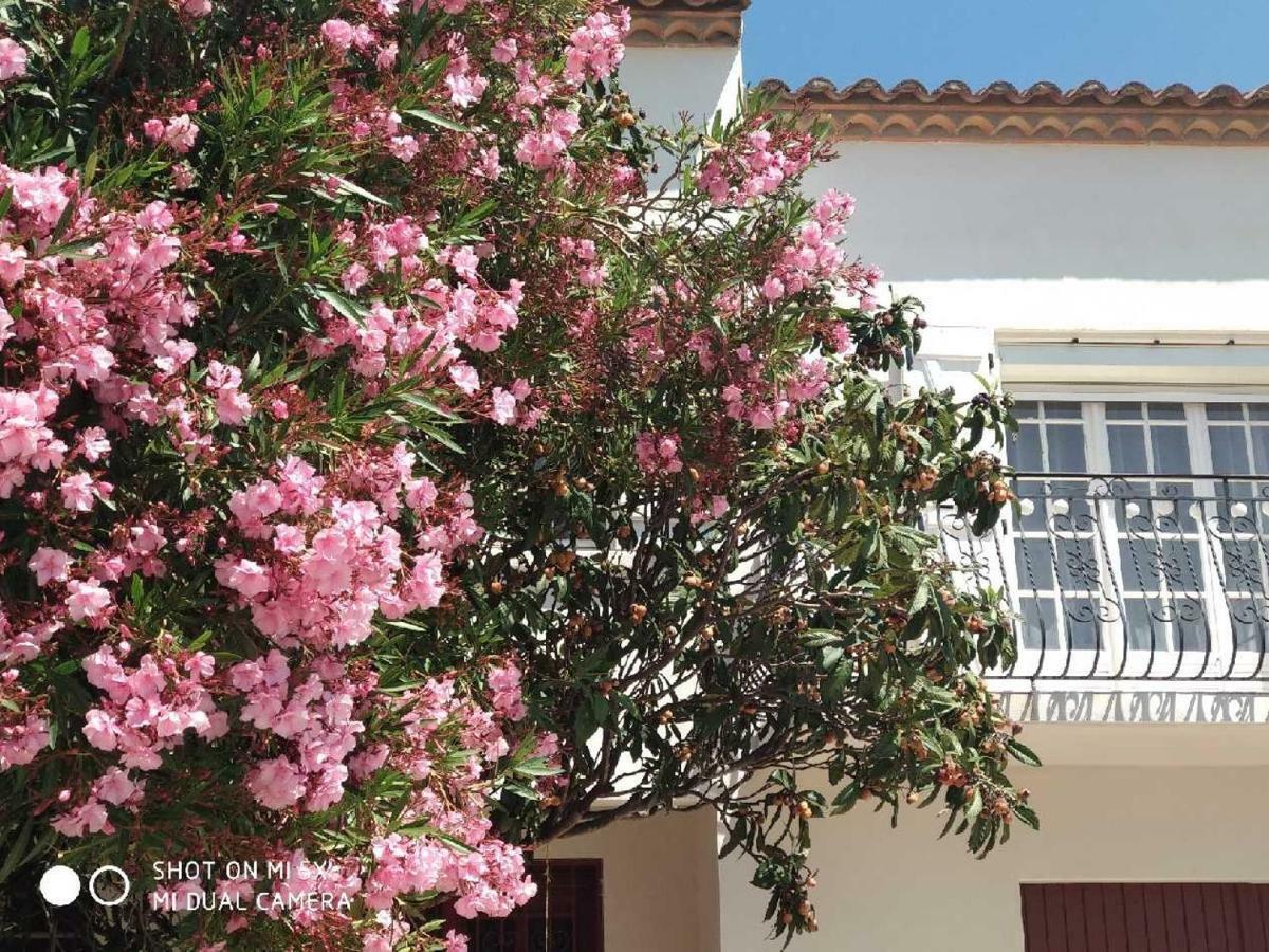 Les Lauriers Roses Apartamento Narbona Exterior foto